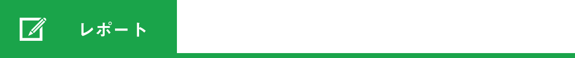 project-report